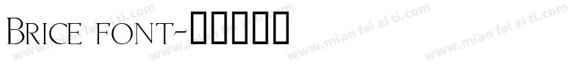 Brice font字体转换